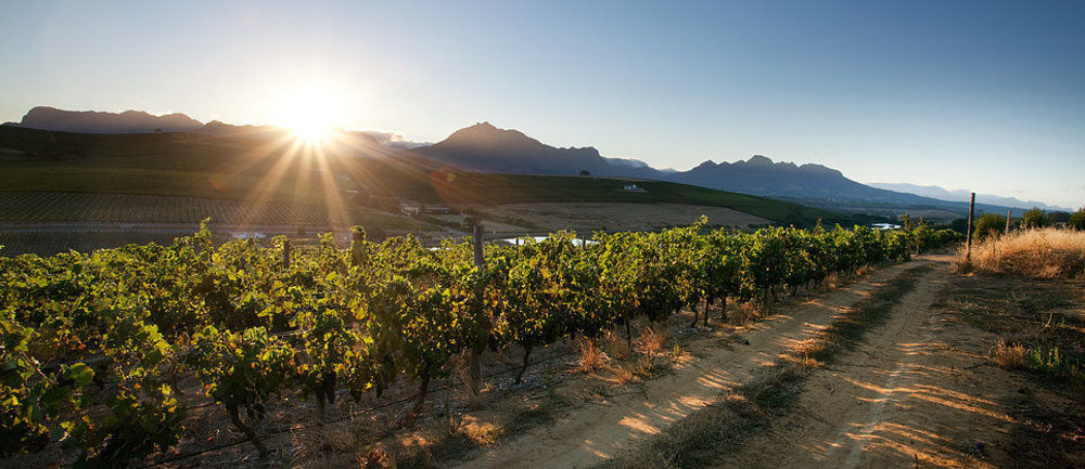 Brenaissance Wine & Stud Estate Hotel Stellenbosch Exterior foto